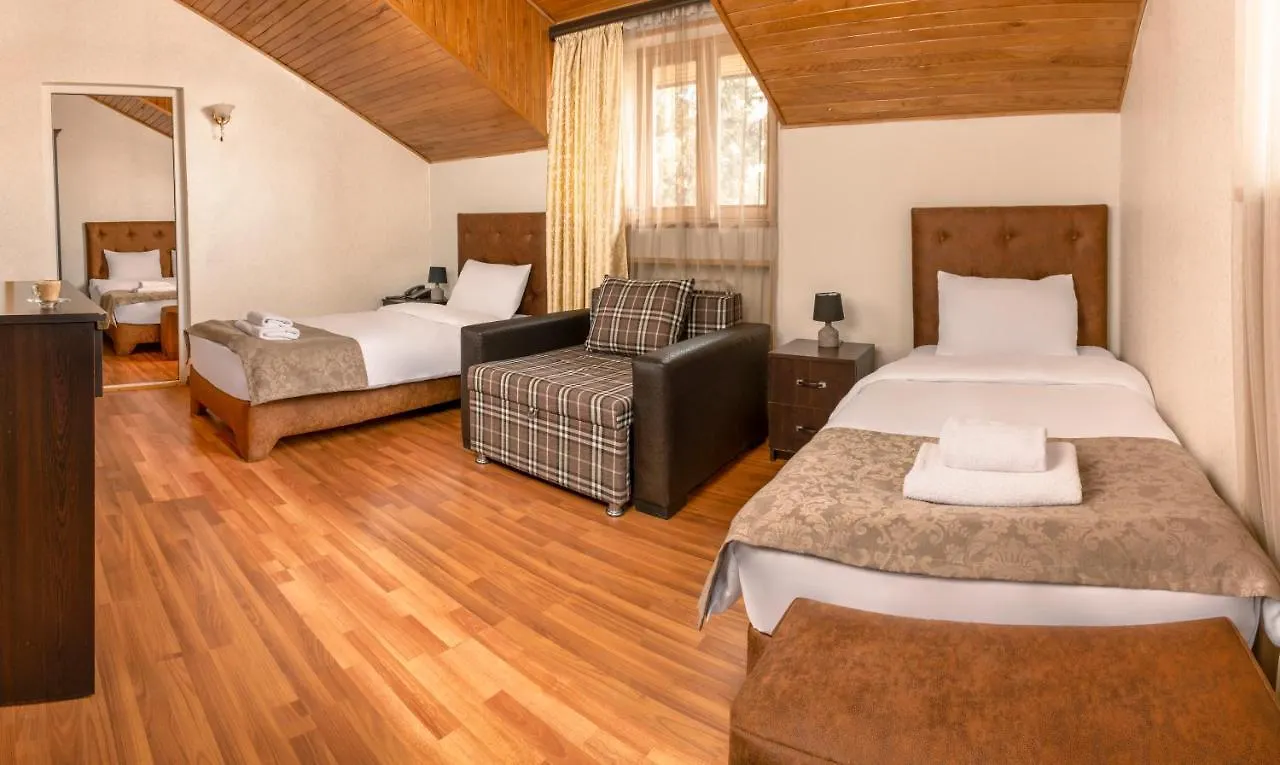 Venesa Hotel Tbilissi